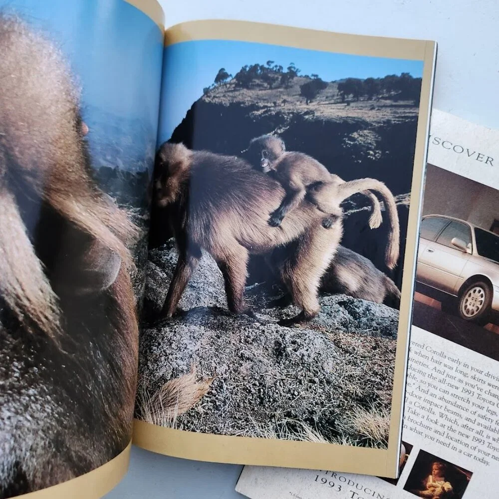 2X Vintage National Geographic Magazine Bundle Set Magazines Random 2 Magazines